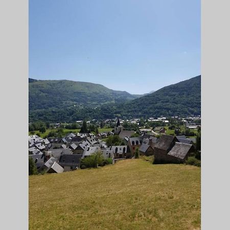 St Lary-Vignec Charmant Studio Au Calme Exteriér fotografie