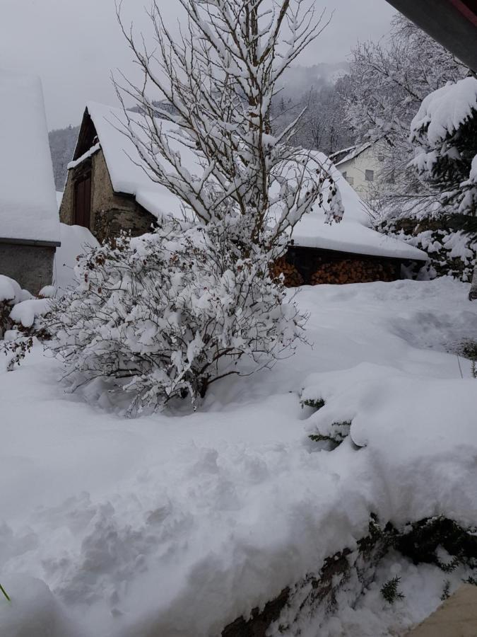 St Lary-Vignec Charmant Studio Au Calme Exteriér fotografie